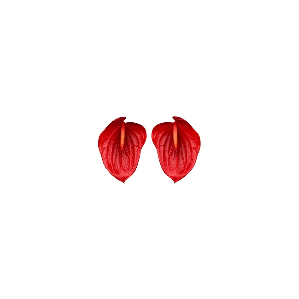 Rio Rouge Statement Drops