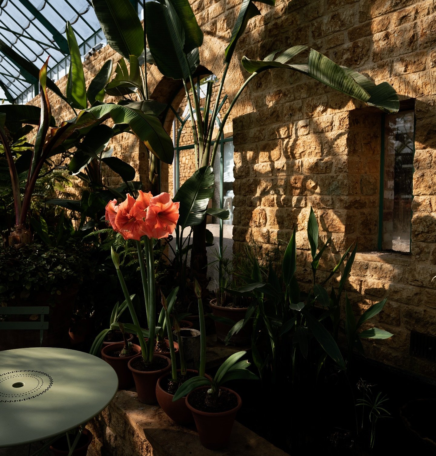 Lovely afternoon at The Newt, yesterday. Perfect spring weather and lovely company @michaela_merten