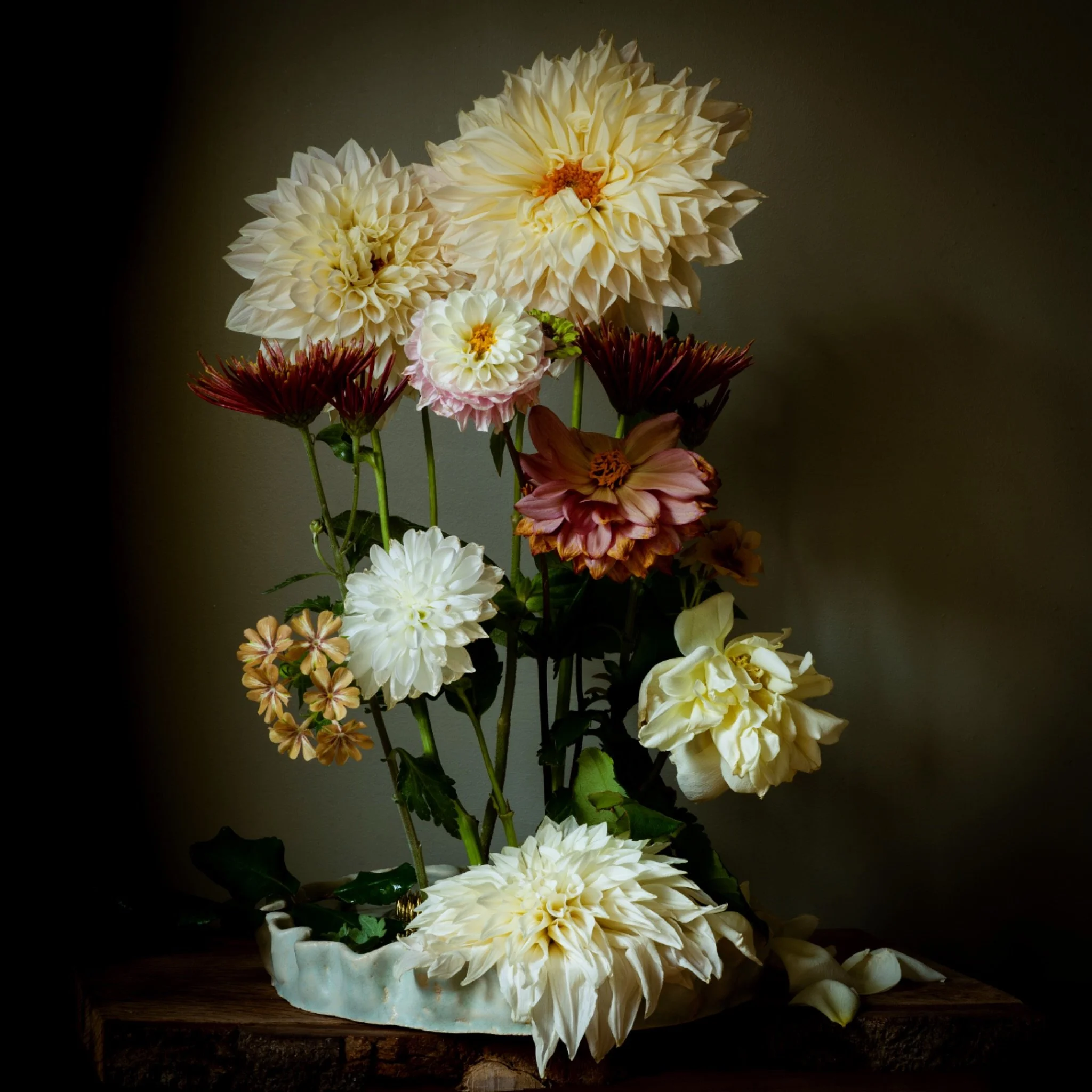 Holding on to every flower as winter&rsquo;s cloak appears&hellip; thank you Julie @foliumandbloem for these lovely flowers&hellip; #winteriscoming #dahlias #gardenflowers #stilllifeflowerphotography #sonyalpha #sigmauk #floraltherapy #nicheflorist
