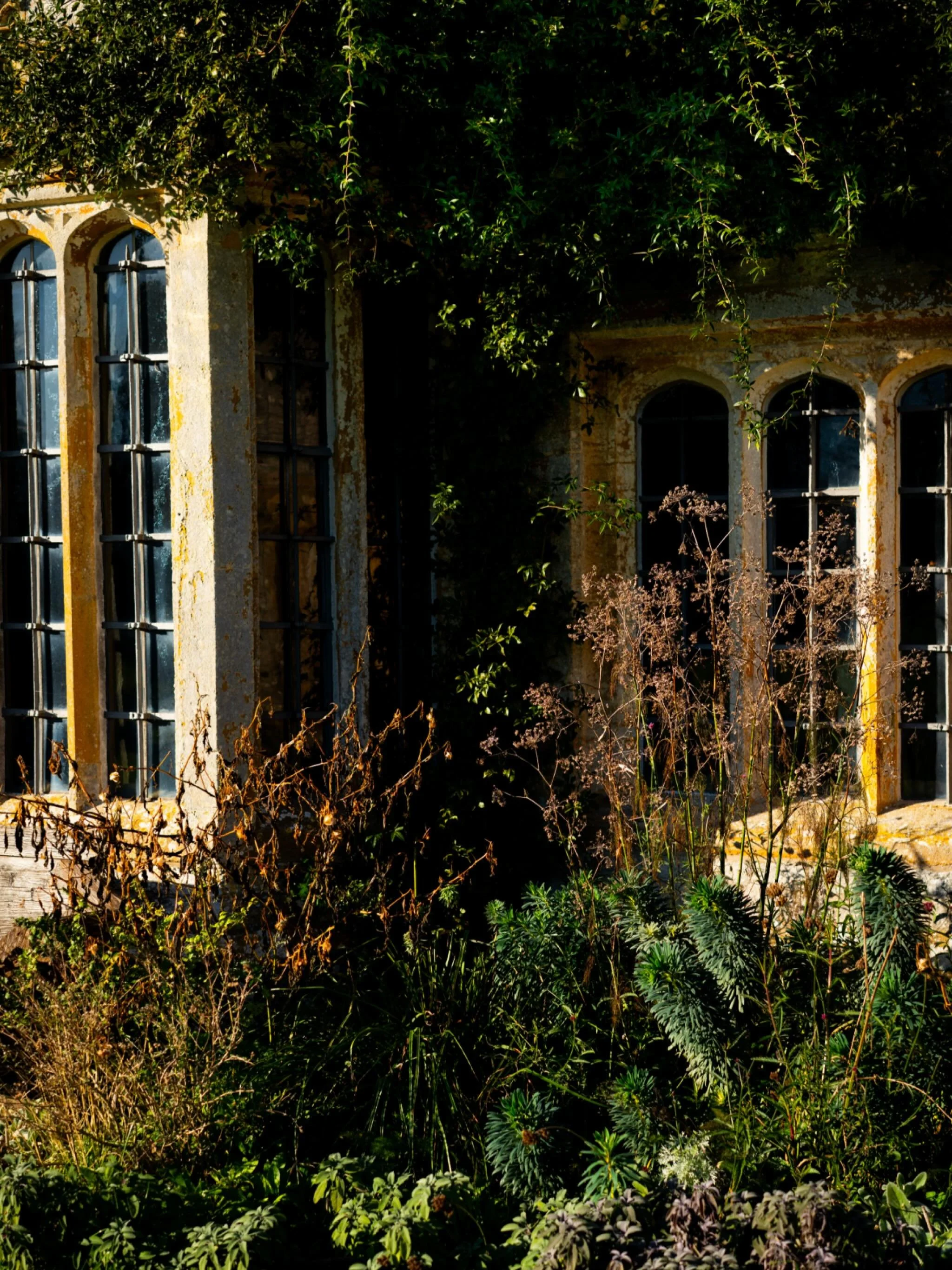 Winter sun, foliage and windows at Lytes Cary&hellip; #wintersun #countryhouse #nicheflorist #lynnseykellyphotography