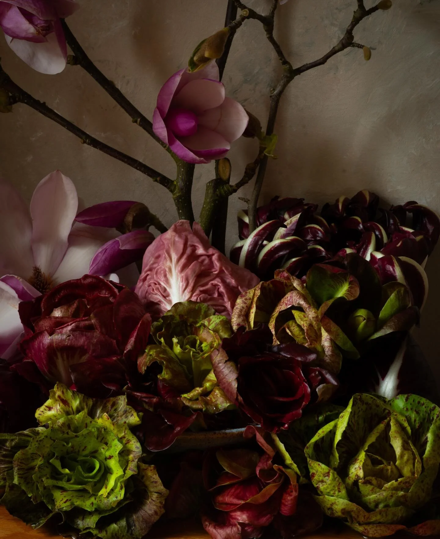 Who knew I could be so excited by simple salad leaves&hellip; #italian #raddichio @natoora
