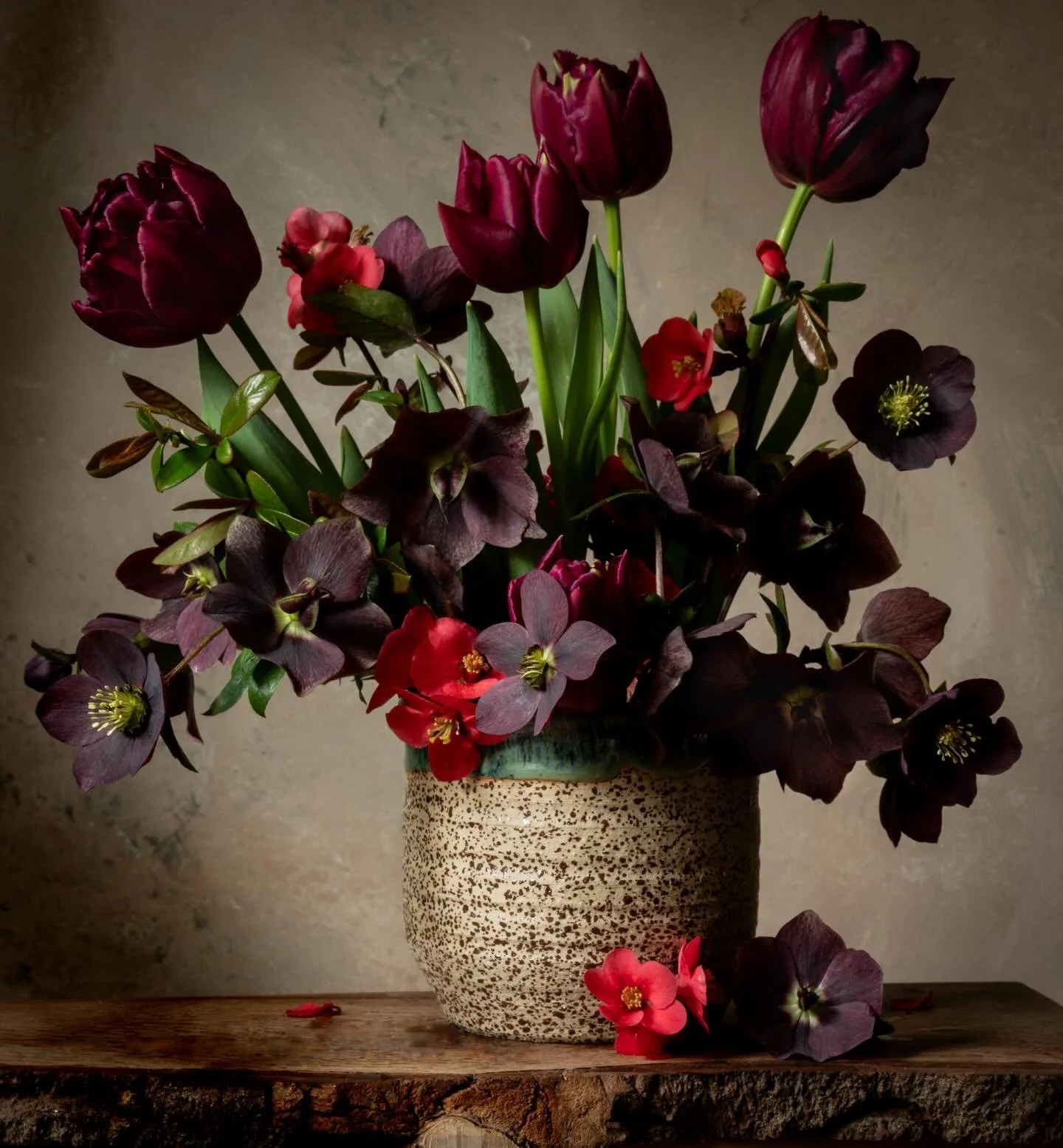 Tulipa &lsquo;Debbie Bradley&rsquo; with quince blossom and hellebores. Finally it&rsquo;s Spring&hellip;. #lynnseykellyphotography  #stilllifeflowerphotography  #floraltherapy  #nicheflorist #springflowers t
