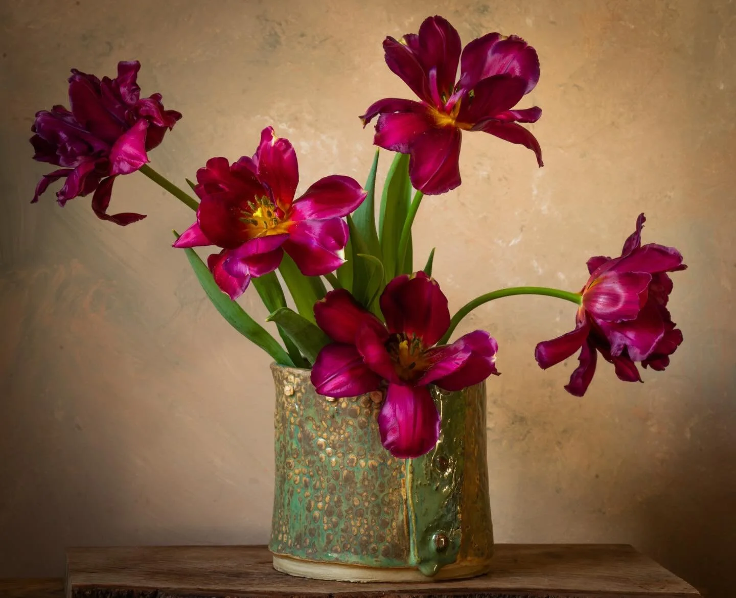 &lsquo;Alison Bradley&rsquo; tulips looking beautiful in the gorgeous afternoon light&hellip; #lynnseykellyphotography #floraltherapy #nicheflorist #stilllifeflowerphotography