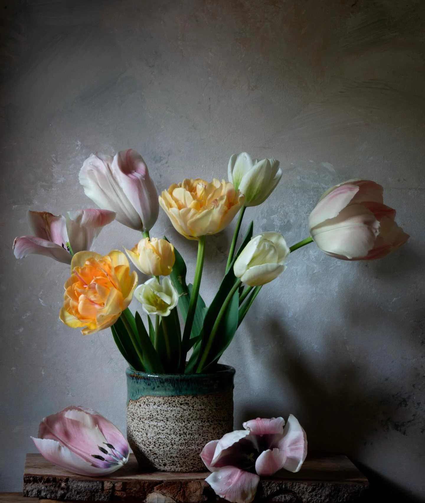 Pretty silk petals dancing in the early evening light. #tulips #nicheflorist #stilllifeflowerphotography #floraltherapy #spring