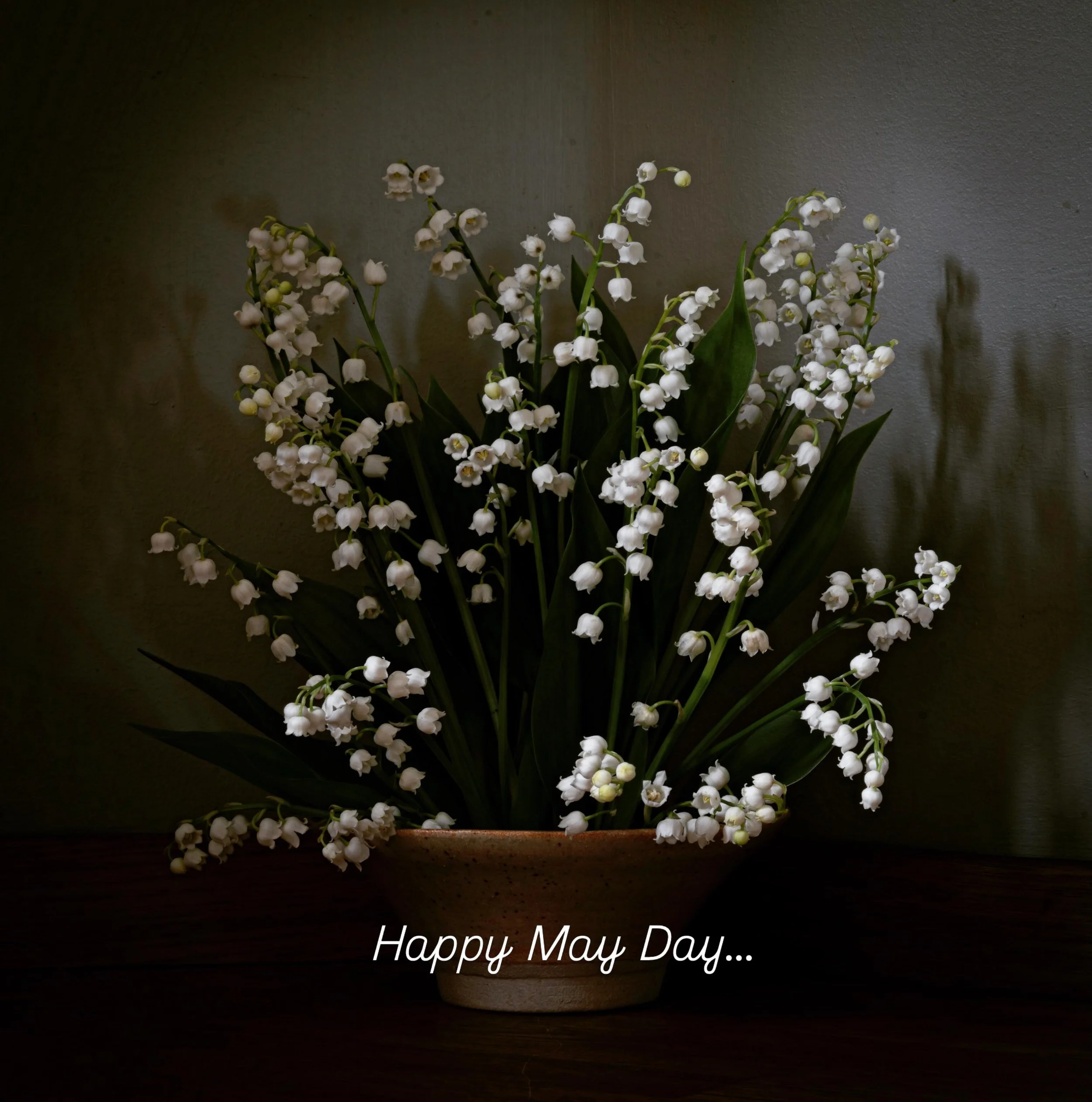 Here&rsquo;s wishing this planet a year of healing, beauty and love&hellip; #mayday #spring #lilyofthevalley
