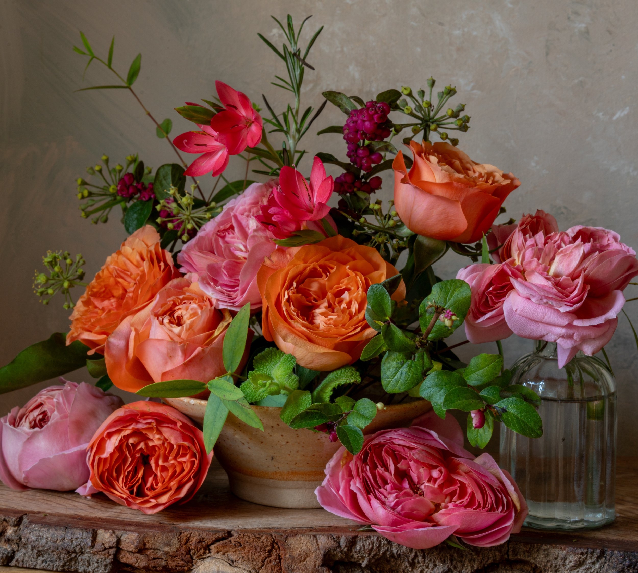 Garden Roses