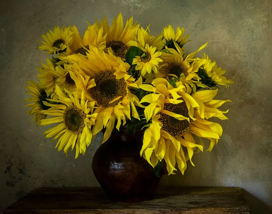 Ashburton Sunflowers