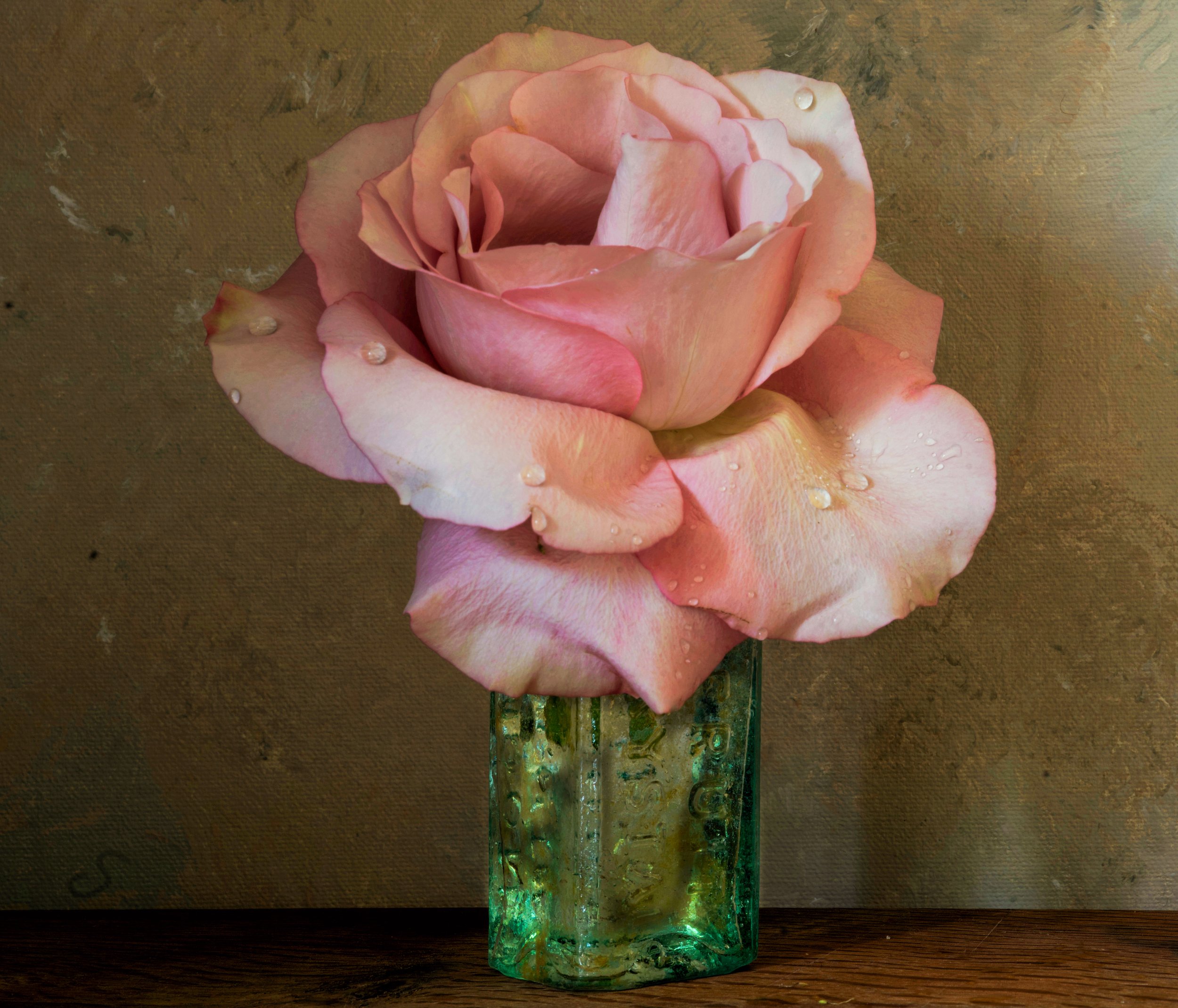 The Secret Garden Rose