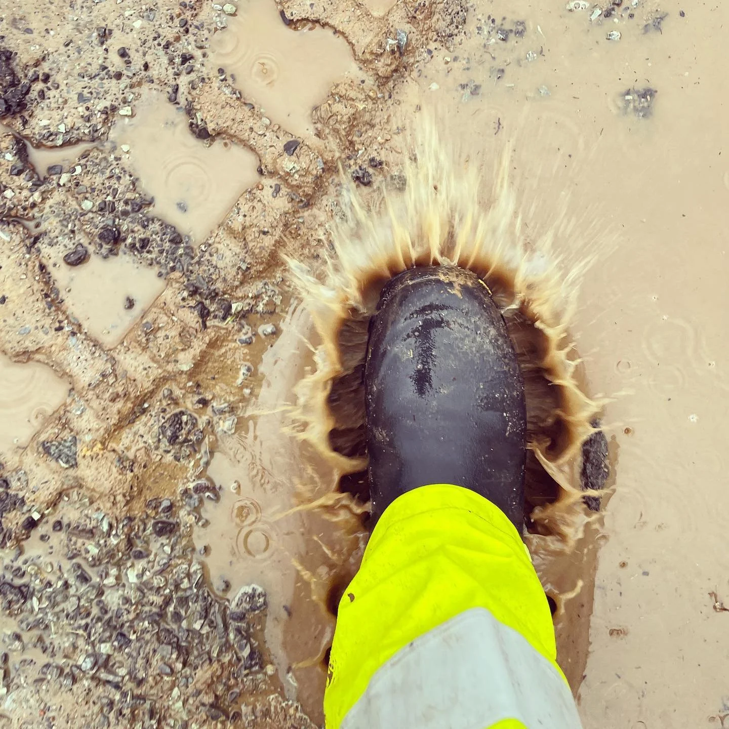 Da kom h&oslash;sten!

#h&oslash;st #regn #drenering #grenland