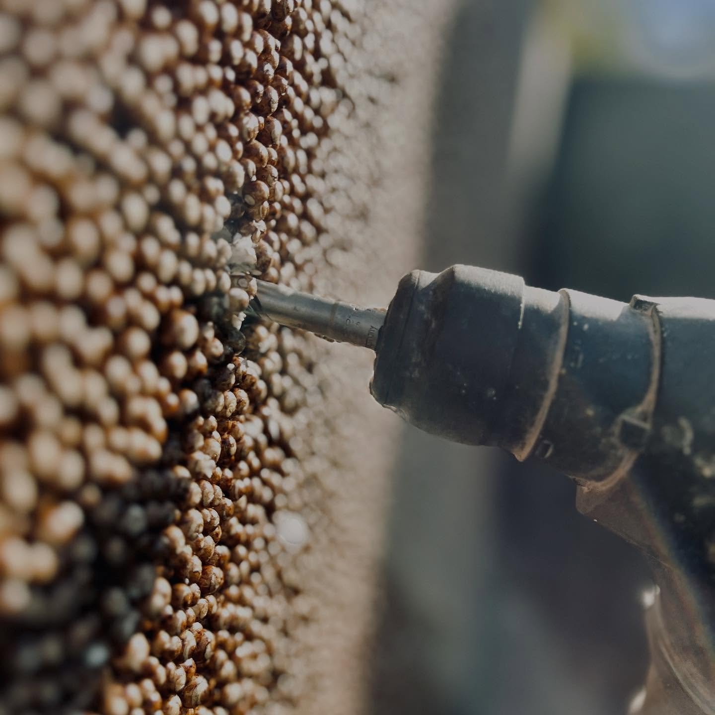 Vakre &oslash;yeblikk i gr&oslash;fta 🍁
#drenering #porsgrunn #grenlanddrenering