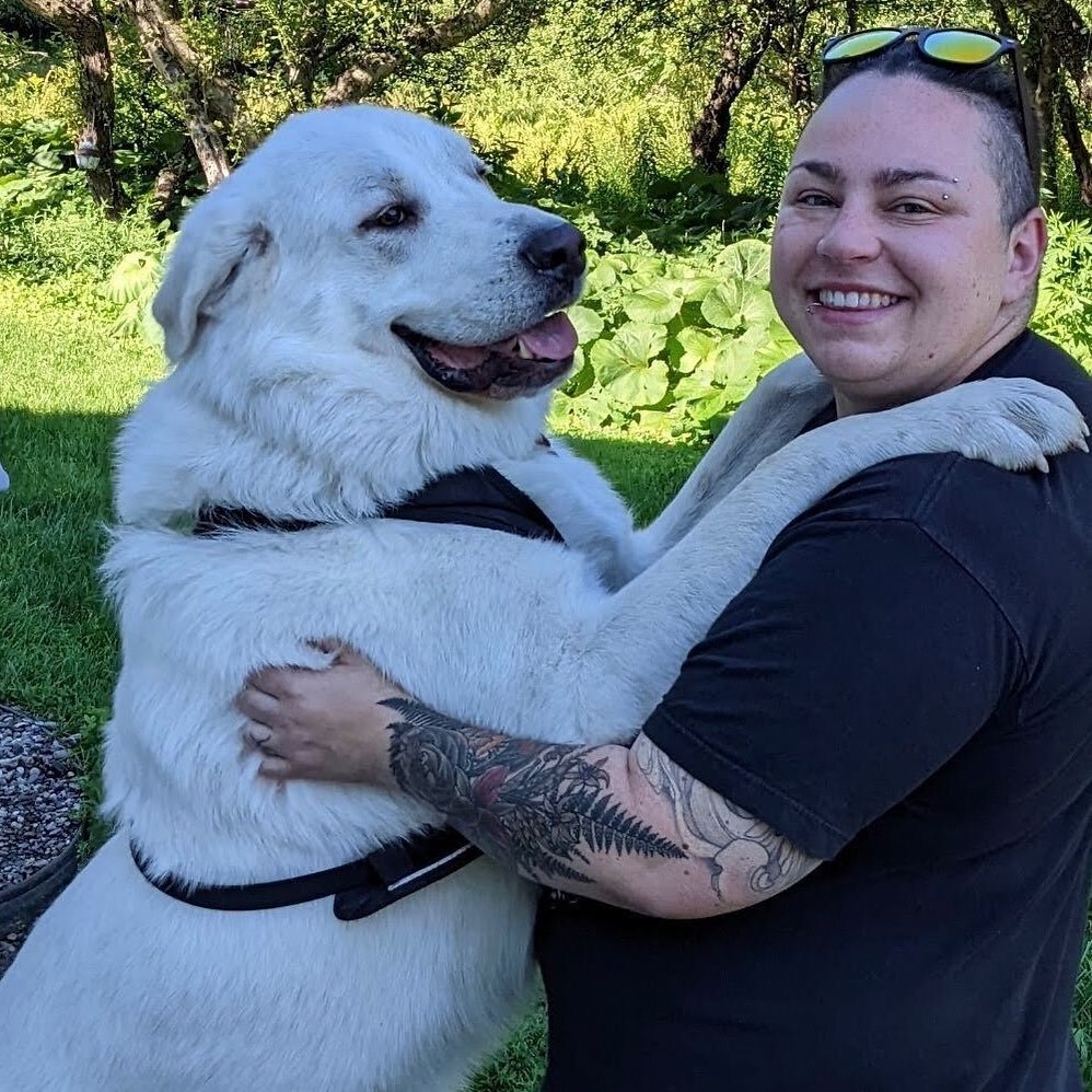 Kensho and his siblings graduated from their behavior program with Emily, and the big guy gave her quite the goodbye hug 💖 

Multi-dog households are one of the areas that we specialize in. The dynamics can be challenging to navigate but we always a