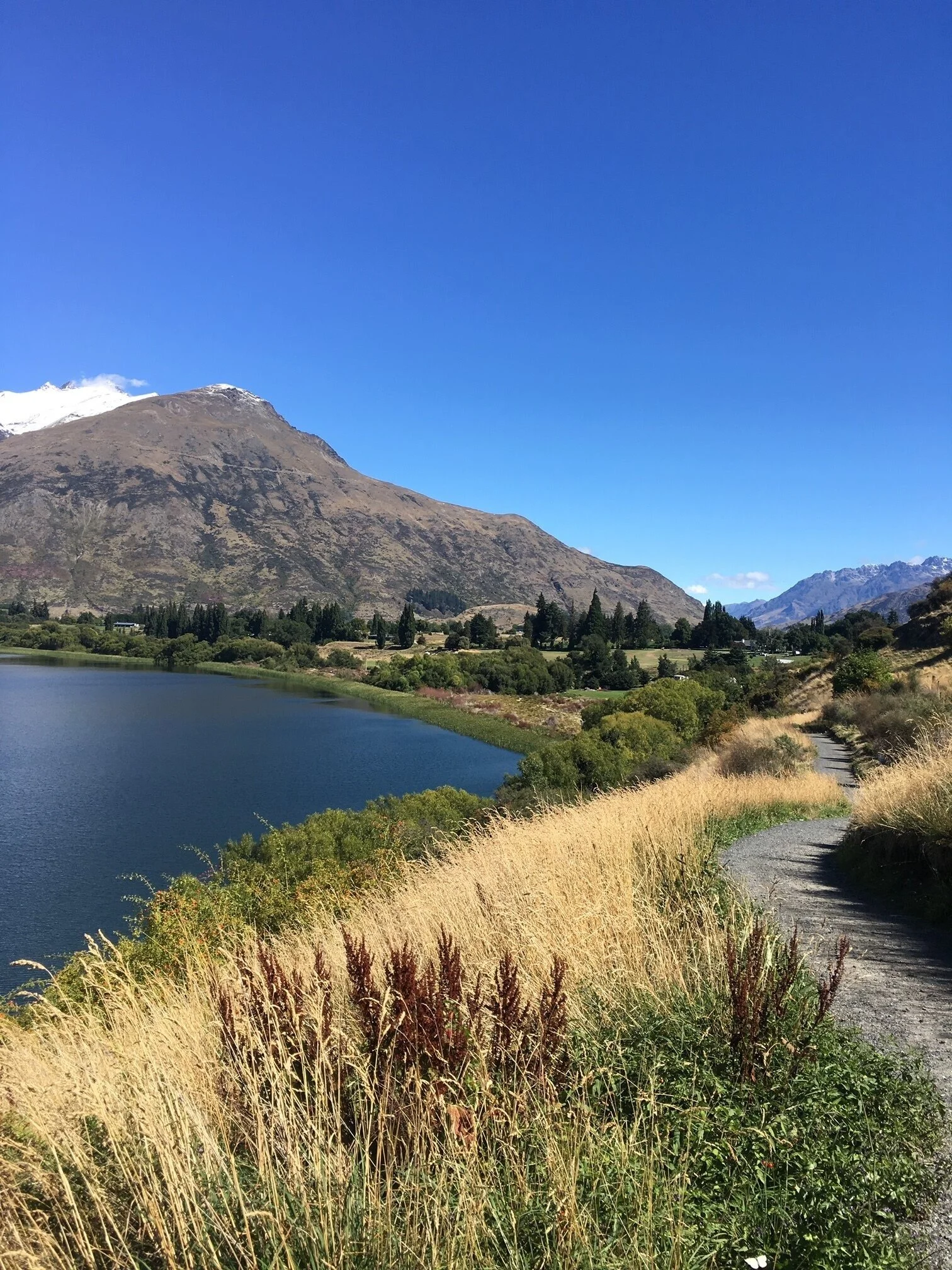 EMPLOYEE ASSISTANCE PROGRAMMES (EAP) 