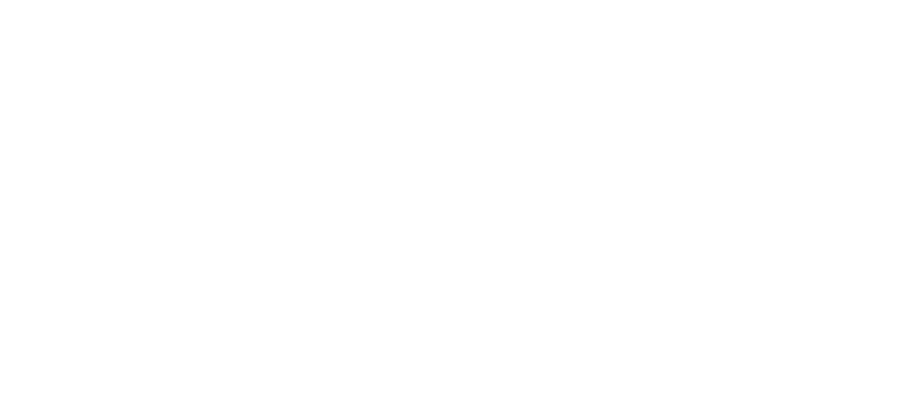 iorelogo wide transparent-38.png