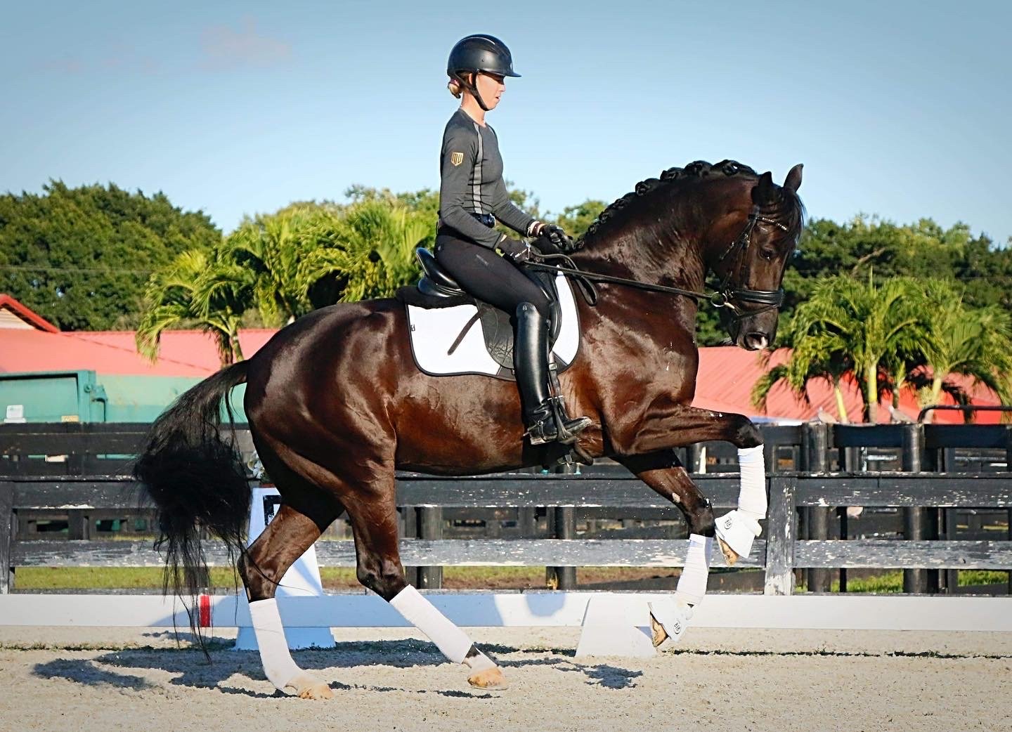 4C383872-3513-4946-ABBA-D65D65B0314F (1).JPG