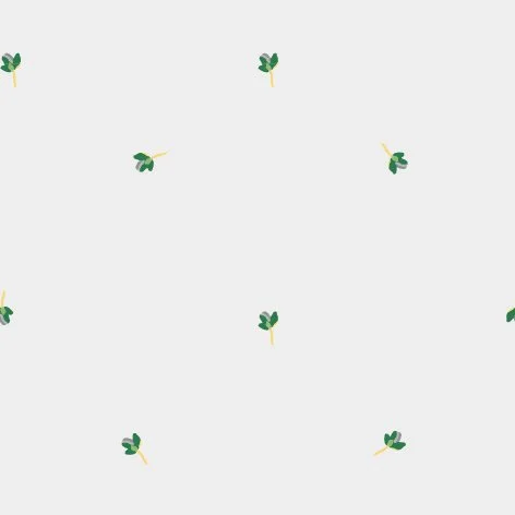 monordesign-24.jpg