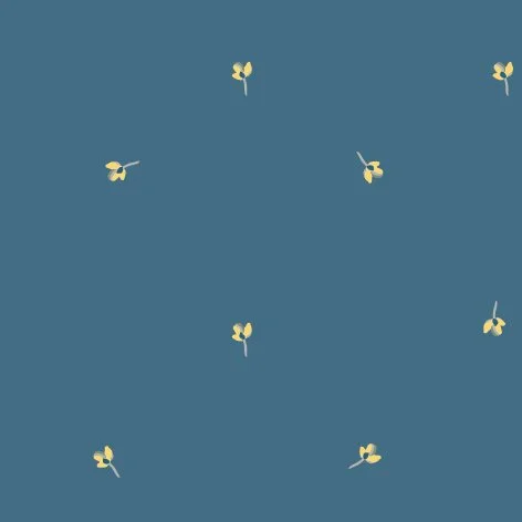 monordesign-21.jpg