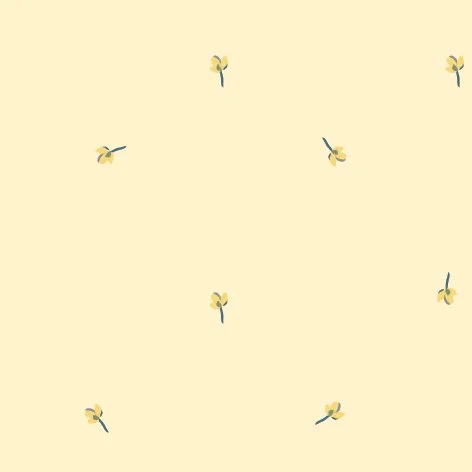 monordesign-25.jpg