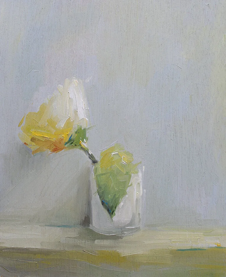 Rose timide