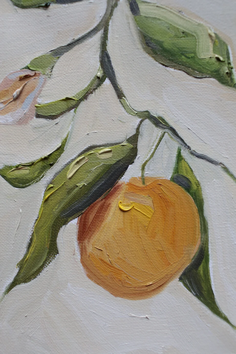Clémentine et Lafleur