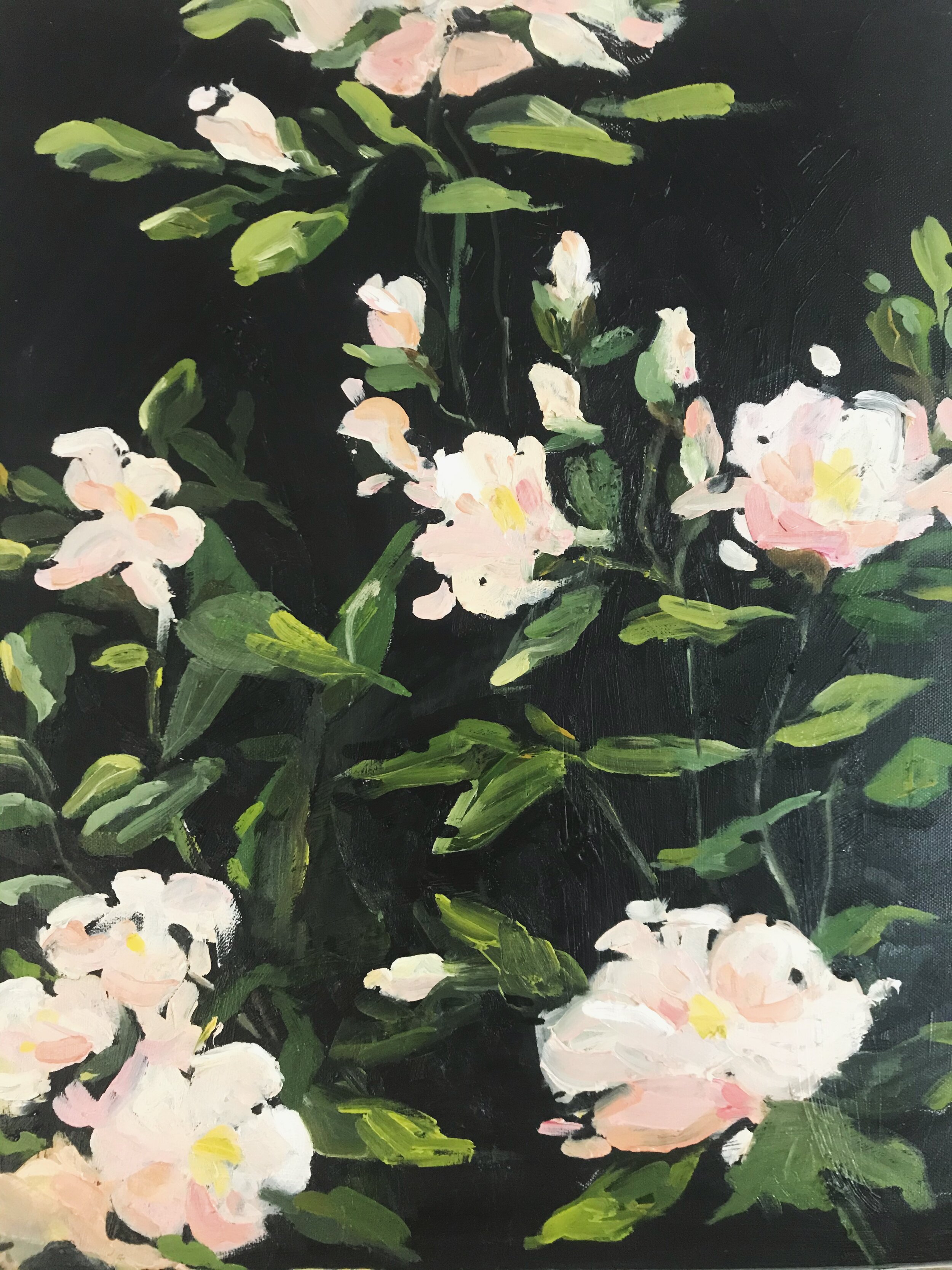 Pommiers en fleurs