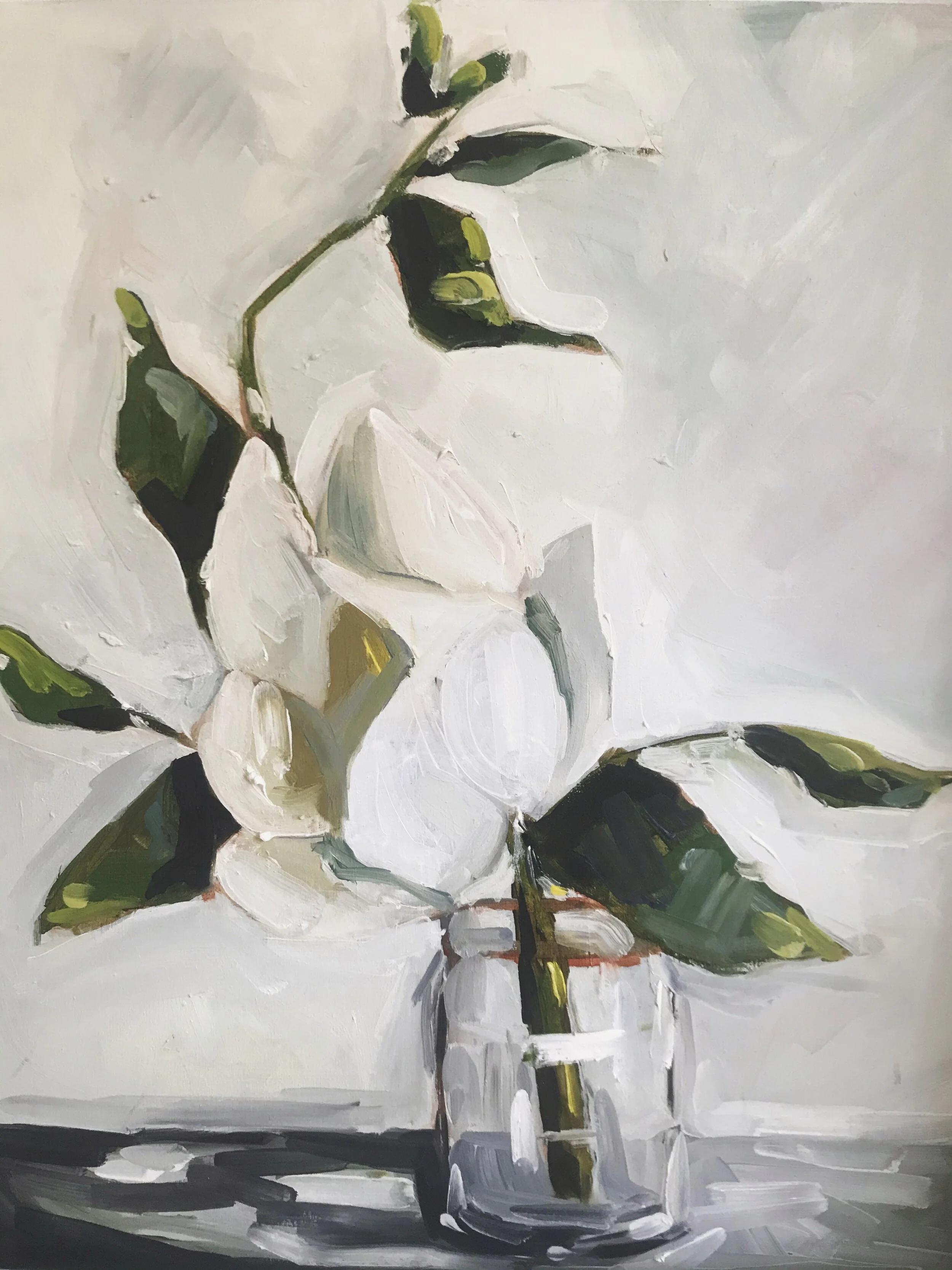 Magnolia endormi
