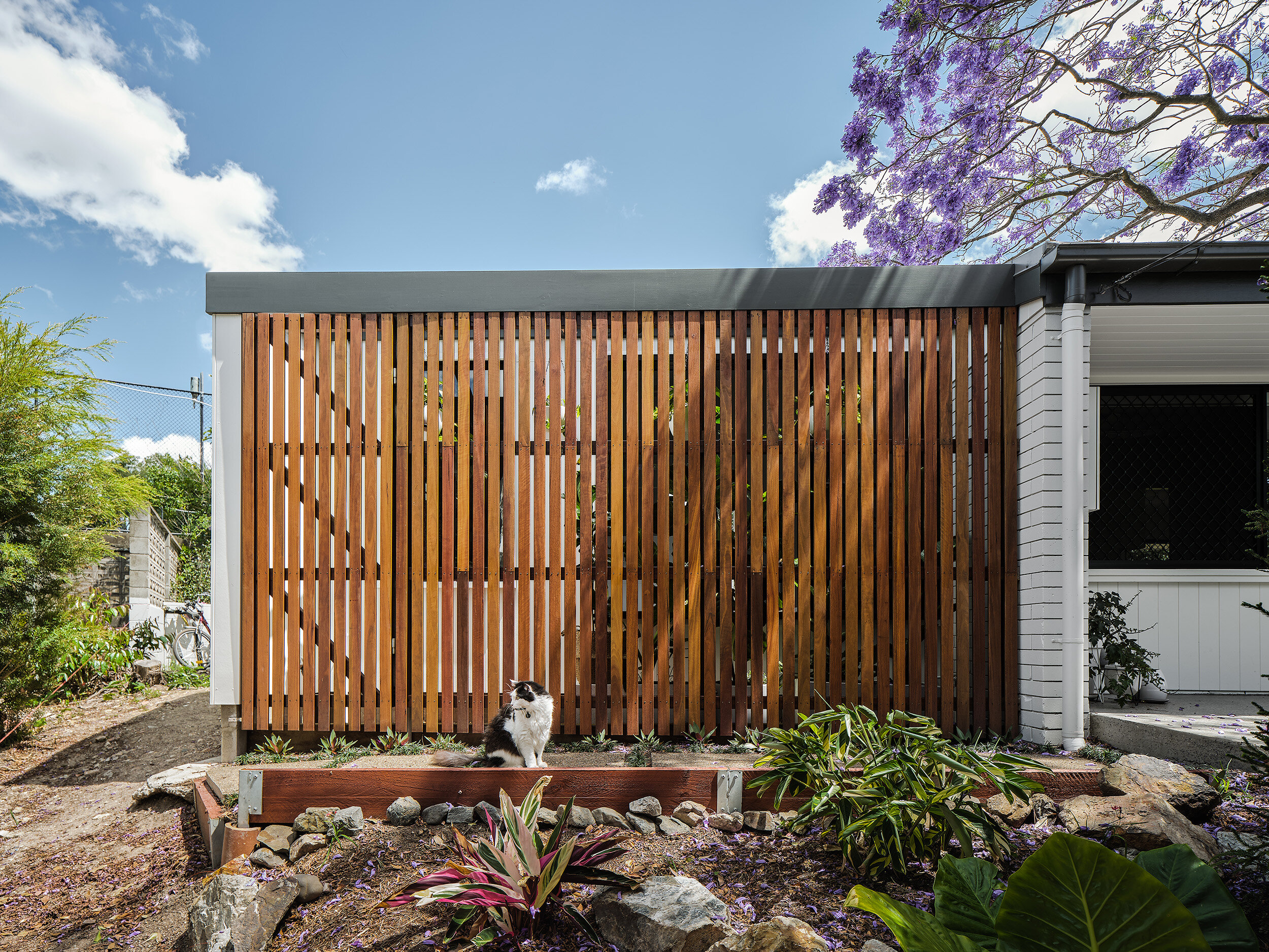 DAHAFERNVALE1 (1)_2500.jpg