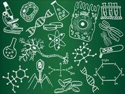 Biology Tutoring