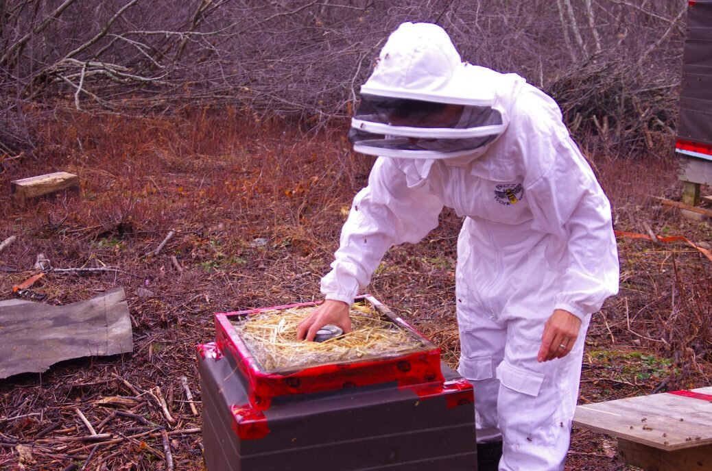 Spring break for the bees
