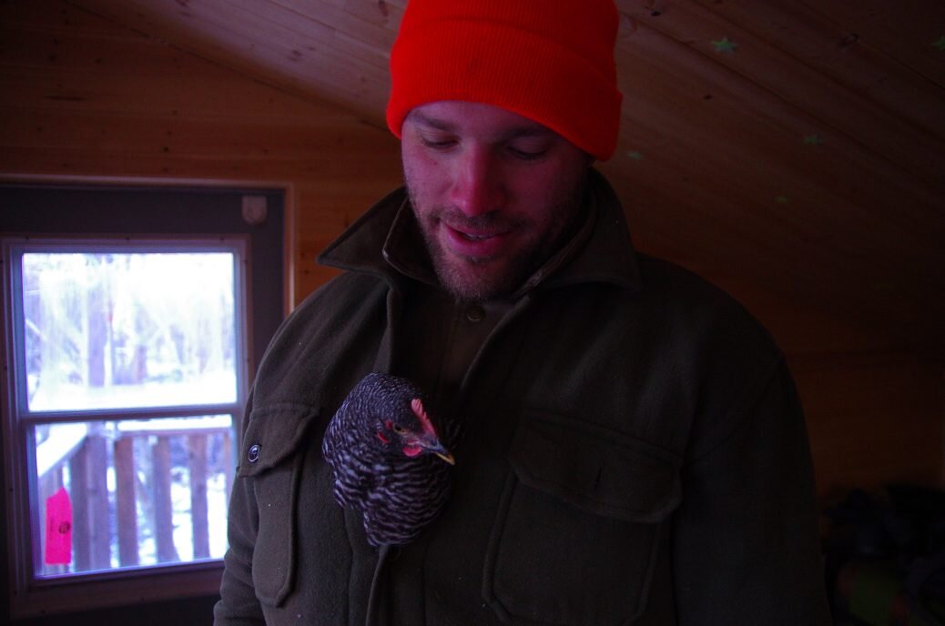 Jacket chicken visit