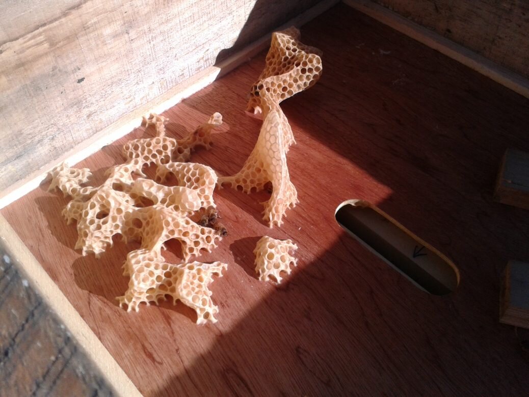 Bee sculpture