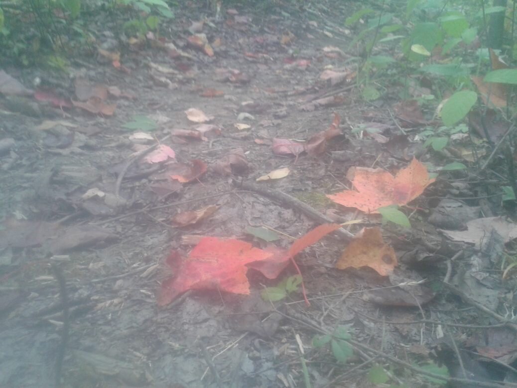 Fall is here
