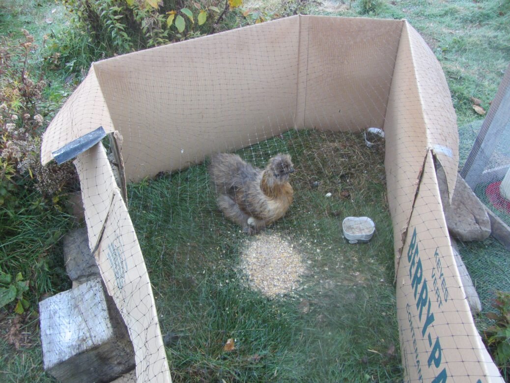 Chickery II