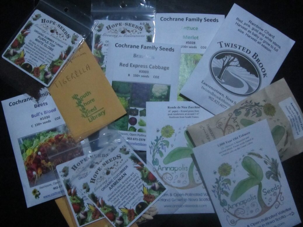 Seedy Saturday!