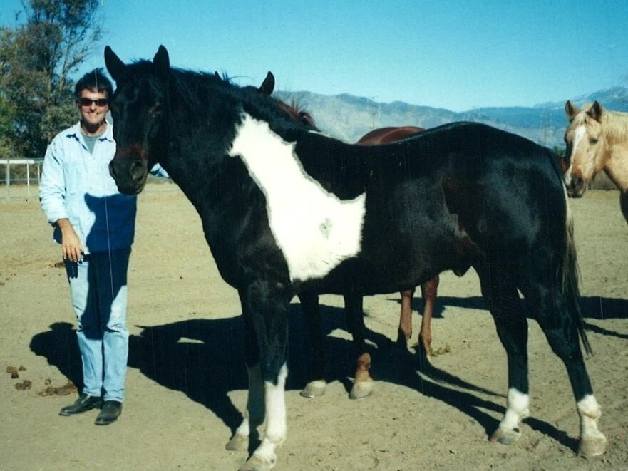 Patch got his wings in 2001