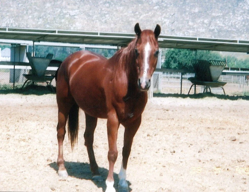 Sassy Sundust  got her wings in 2009