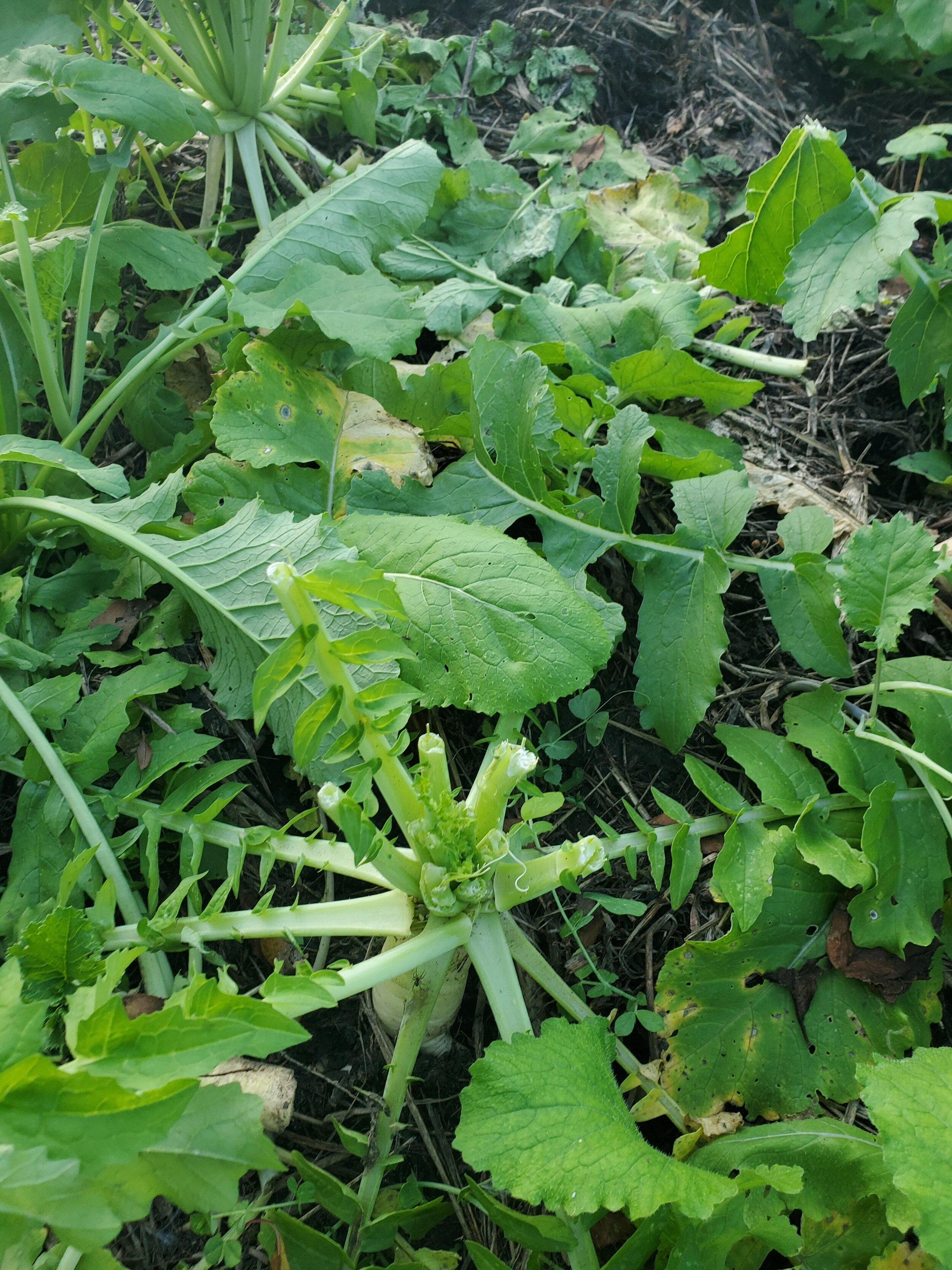 20190923_181814.jpg