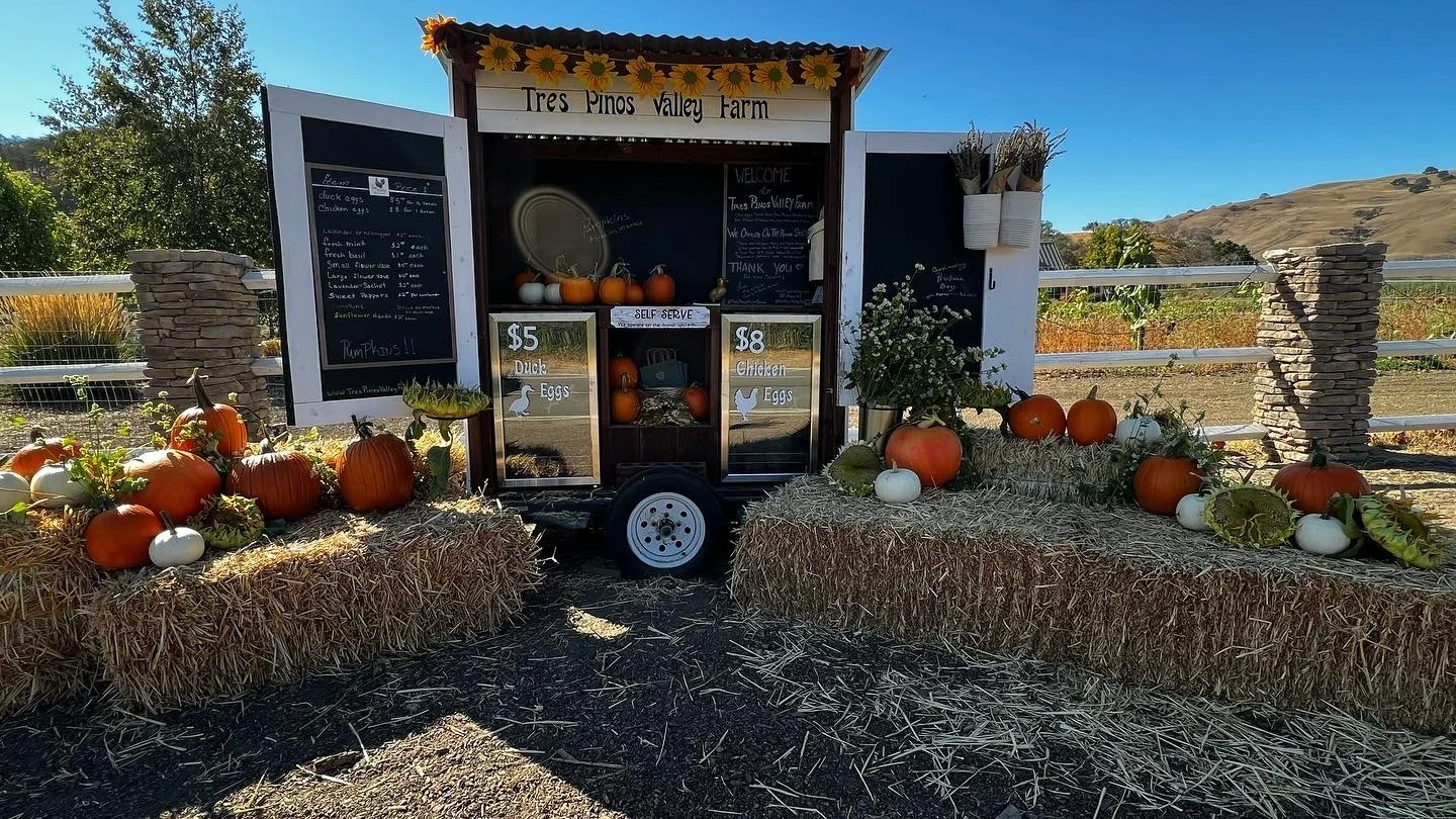 Tres Pinos Valley Farm