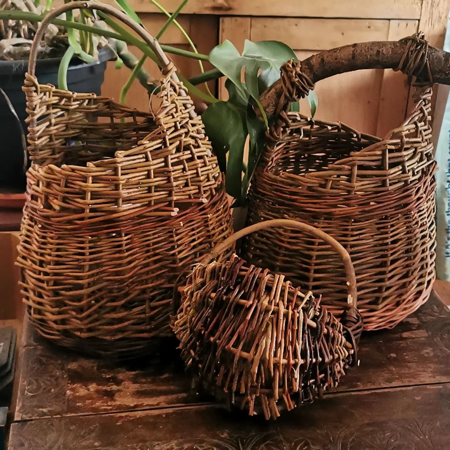 Beautiful Baskets by Angie Wickenden , new in at Salmagundi from tomorrow.