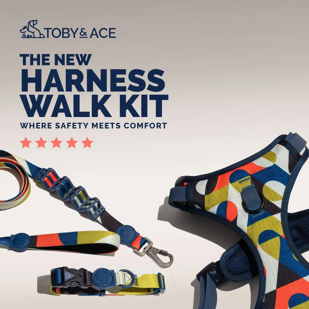 T&A_AccessoriesStatics_WalkKit_July2021_1.jpg