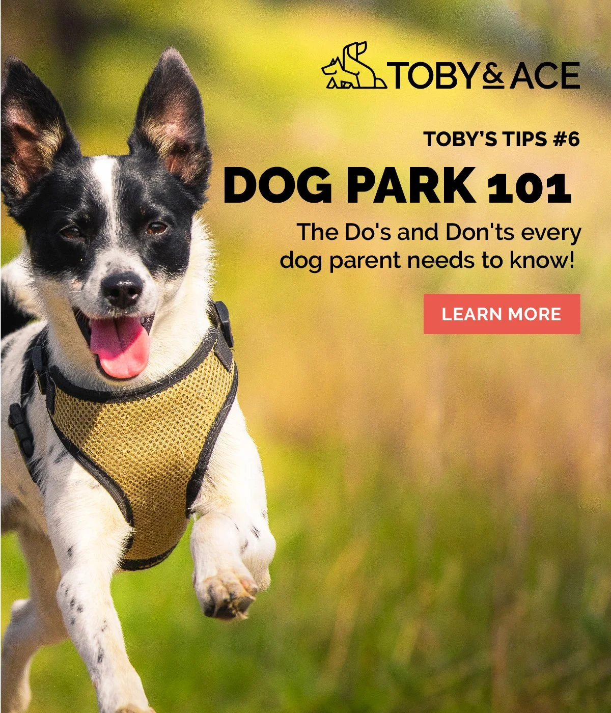 T&A_EmailBanners_Tips6_June2021.jpg