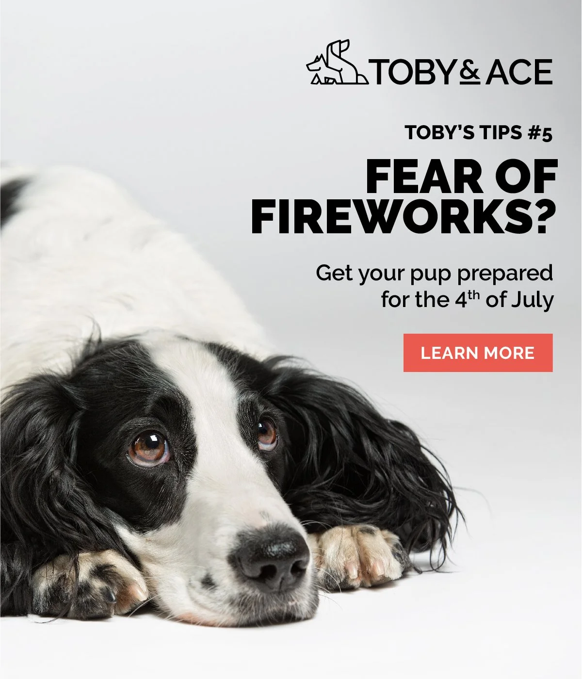 T&A_EmailBanners_Tips5_June2021.jpg