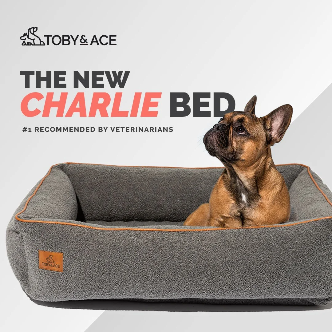 T&A_CharlieBedStatics_GreyBed_July2021.jpg