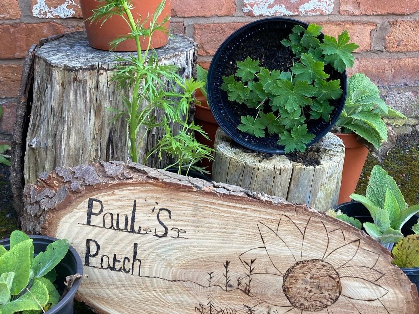 Paul's Patch