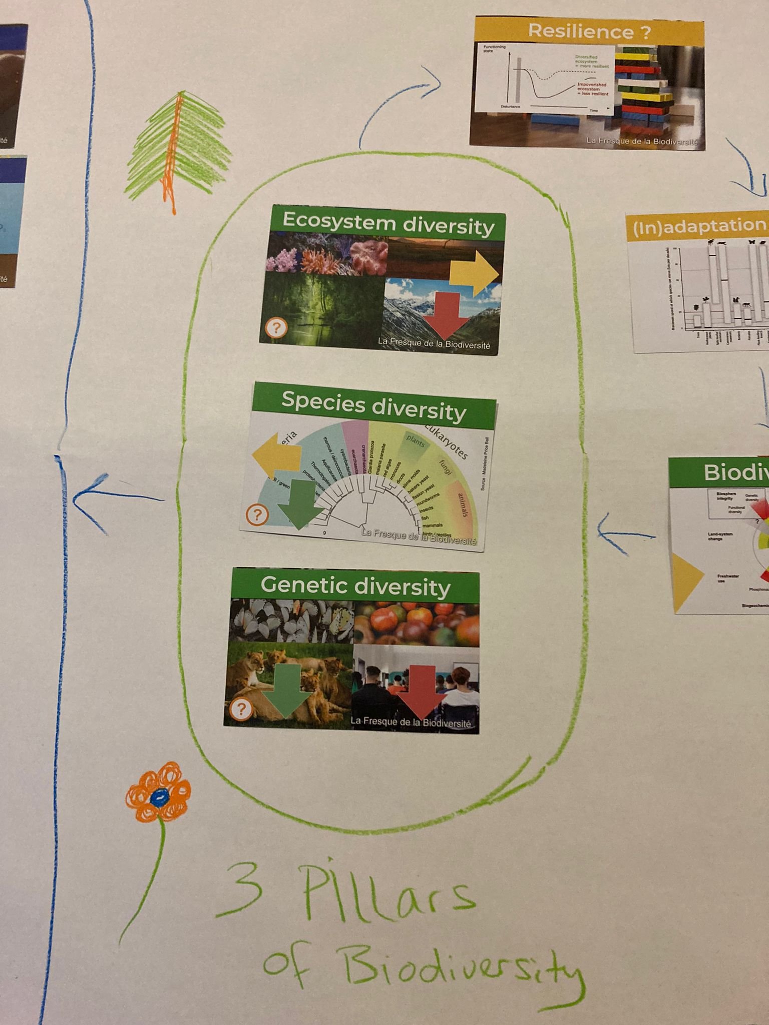 Biodiversity Collage Workshop