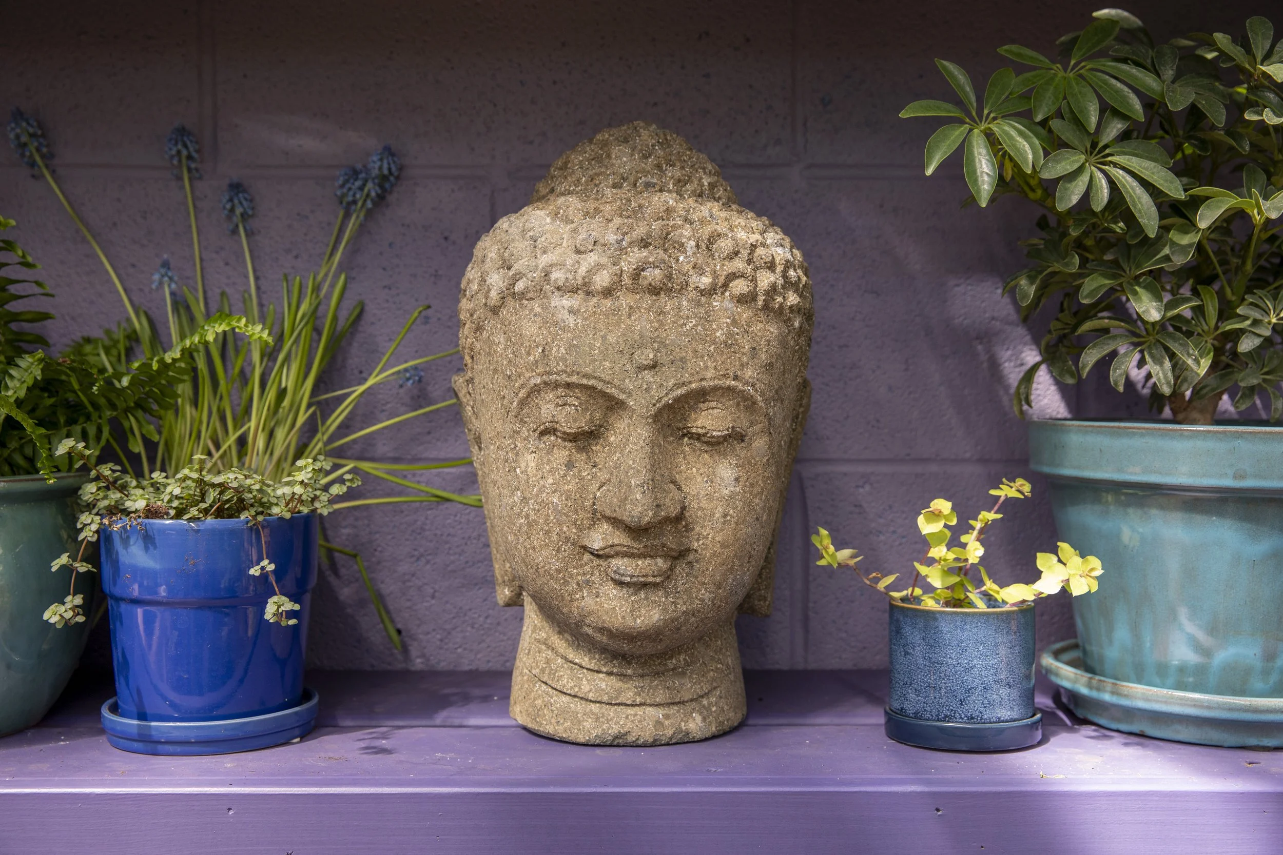 DC_buddhastatue_Kclark02.jpg