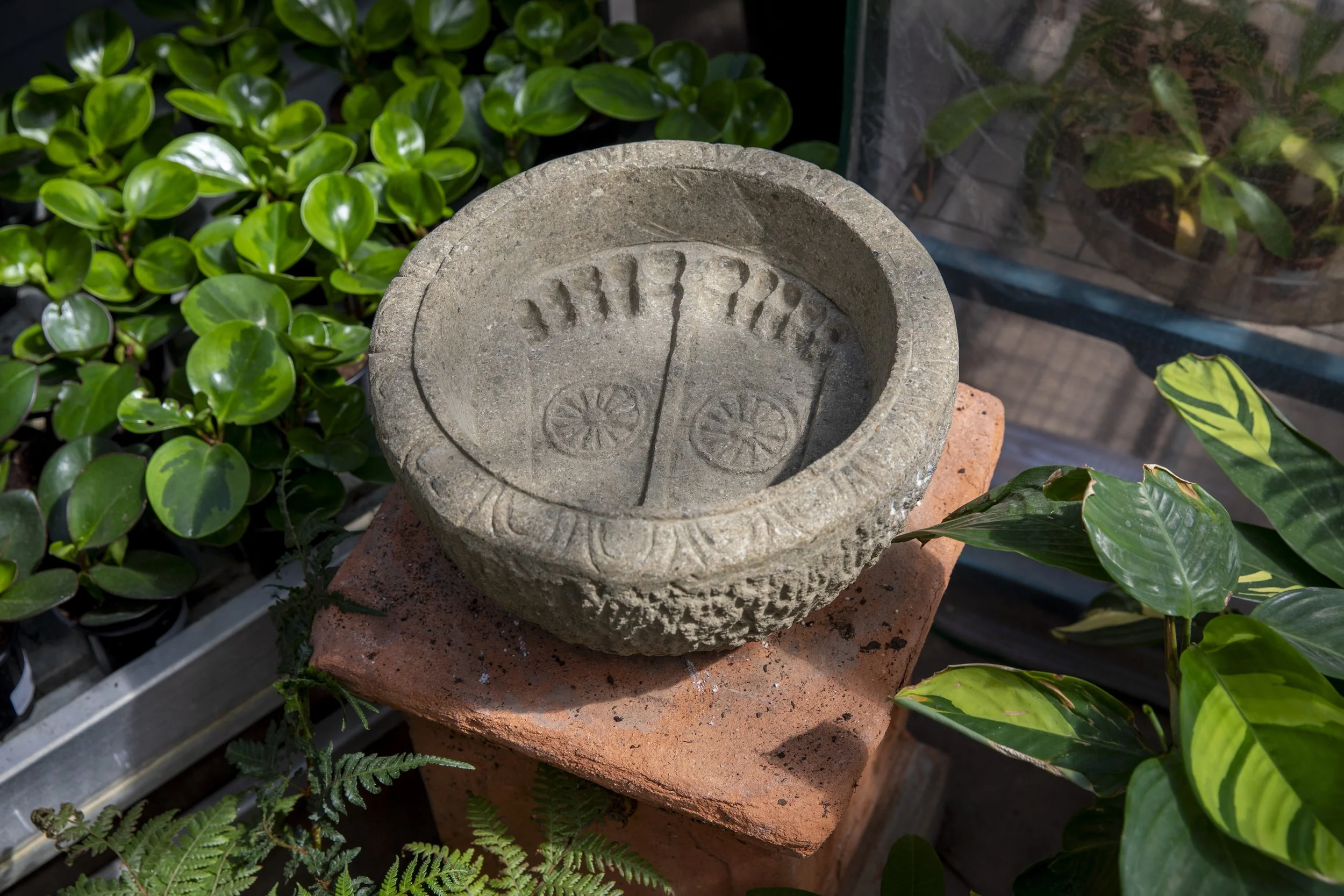 DC_lotusandbuddhafeetbirdbath_Kclark15.jpg