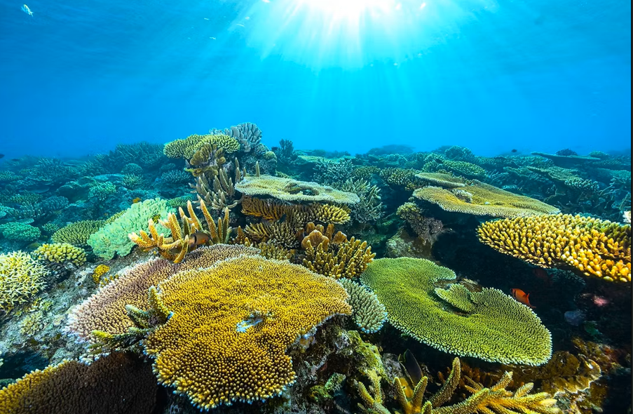 Screenshot 2026-01-23 160943.png