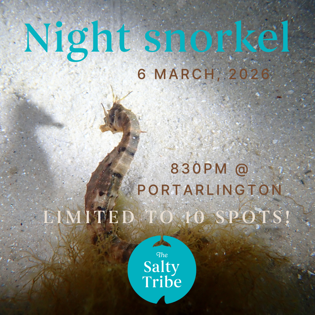 The Salty Tribe_instagram (11).png