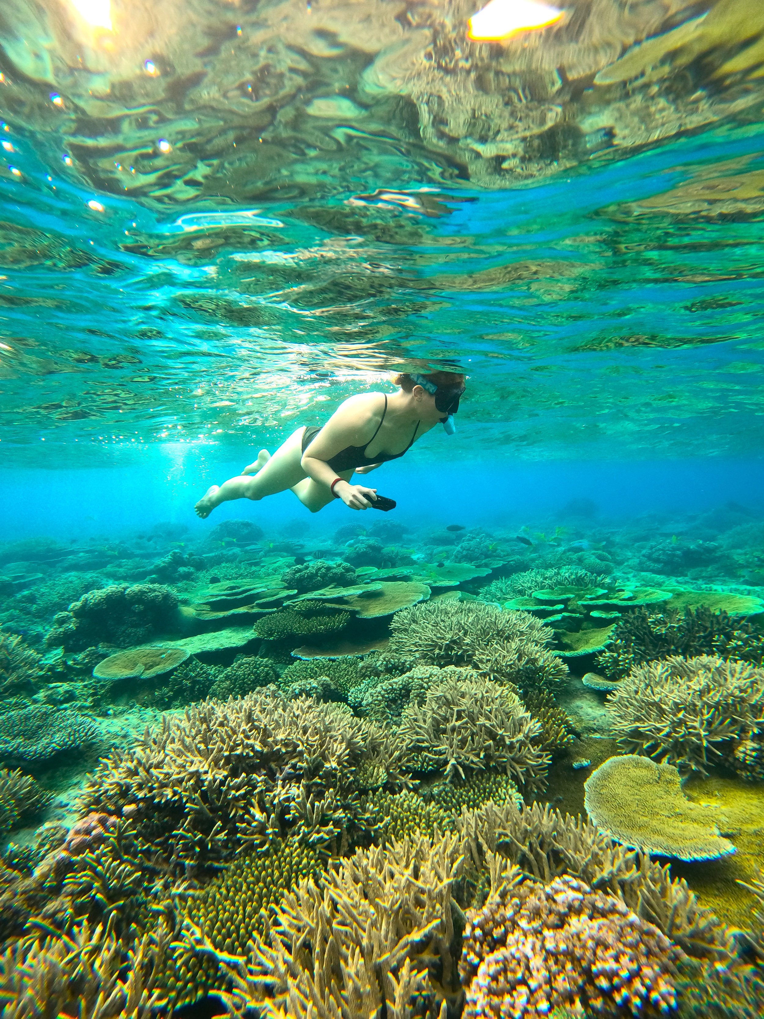 fiji concu colour.JPG