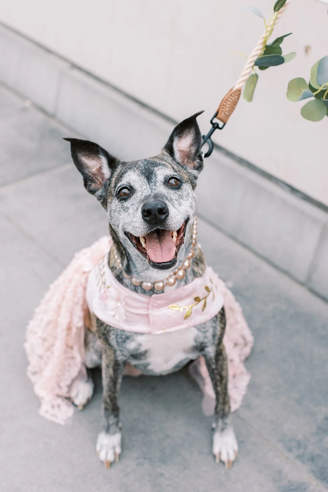 Bekki & Daniel Elopement - Griffith -32.jpg